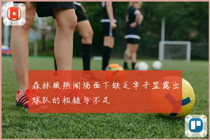 森林狼热闹场面下缺乏华子显露出球队的粗糙与不足