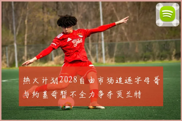 热火计划2028自由市场追逐字母哥与约基奇暂不全力争夺莫兰特